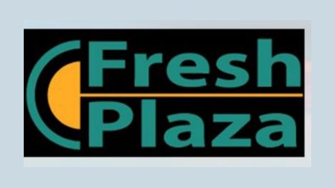 Fresh Plaza